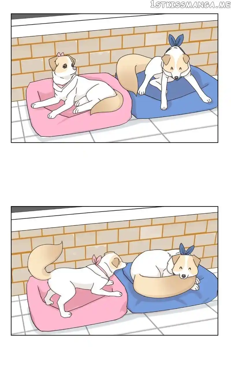 The Dog Diaries Chapter 104