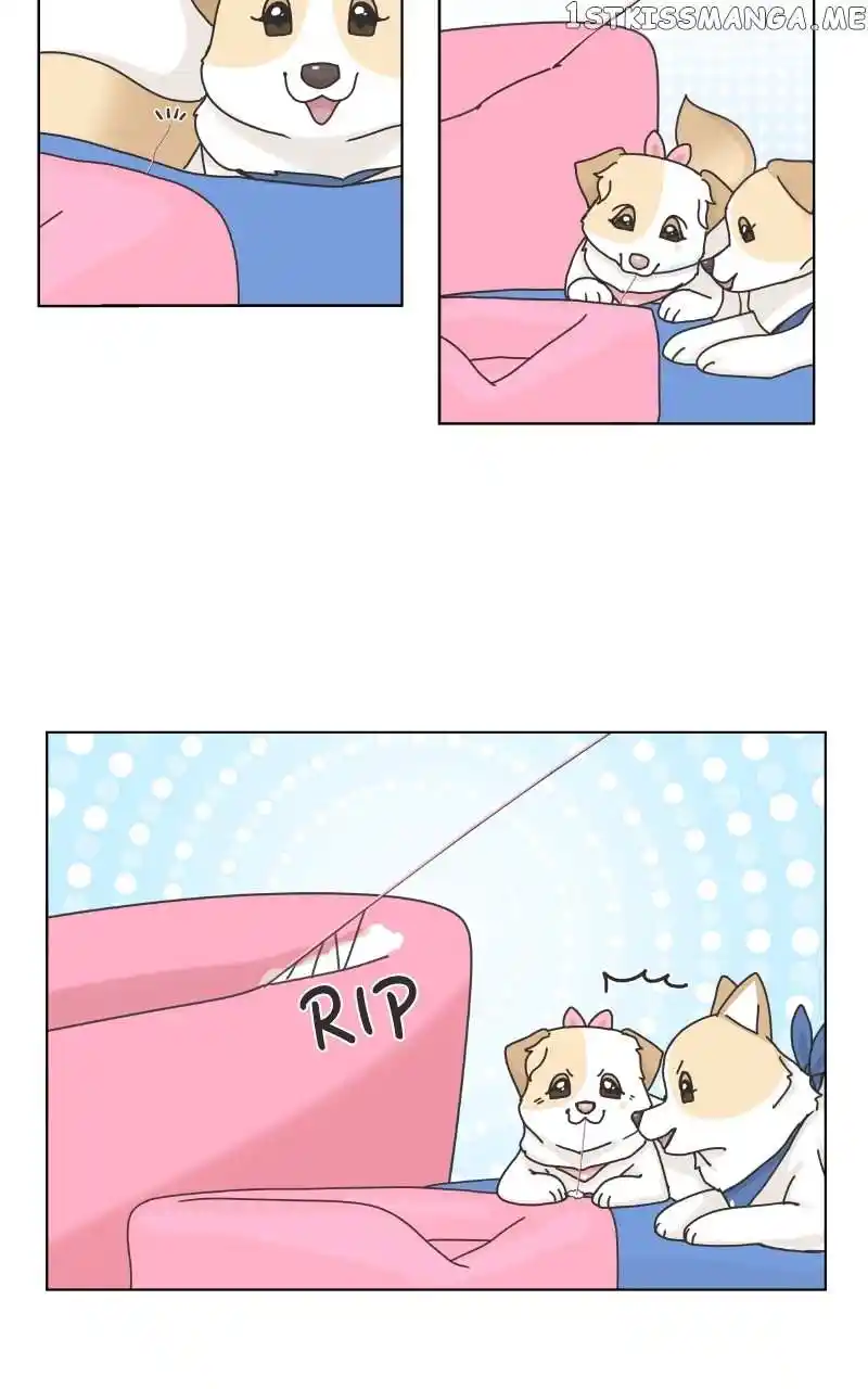 The Dog Diaries Chapter 104