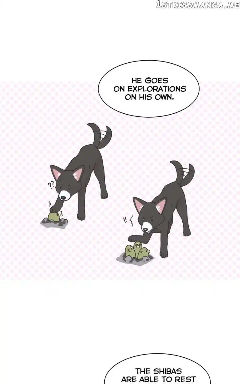 The Dog Diaries Chapter 105