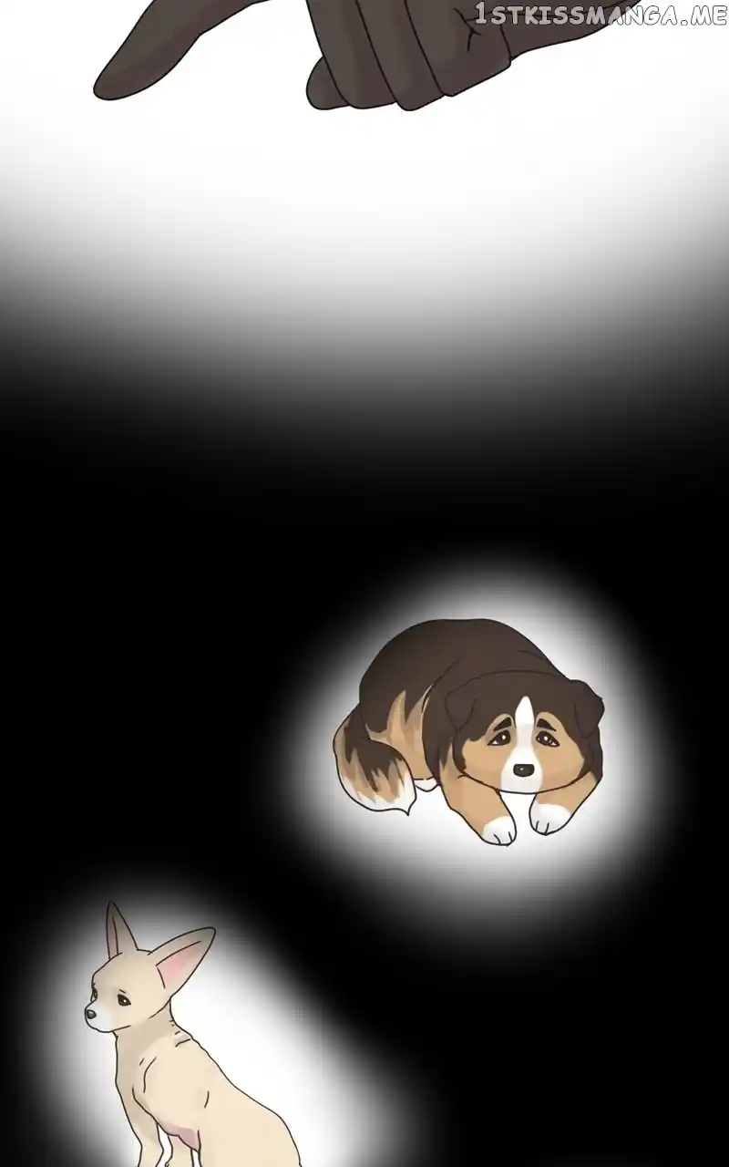 The Dog Diaries Chapter 105