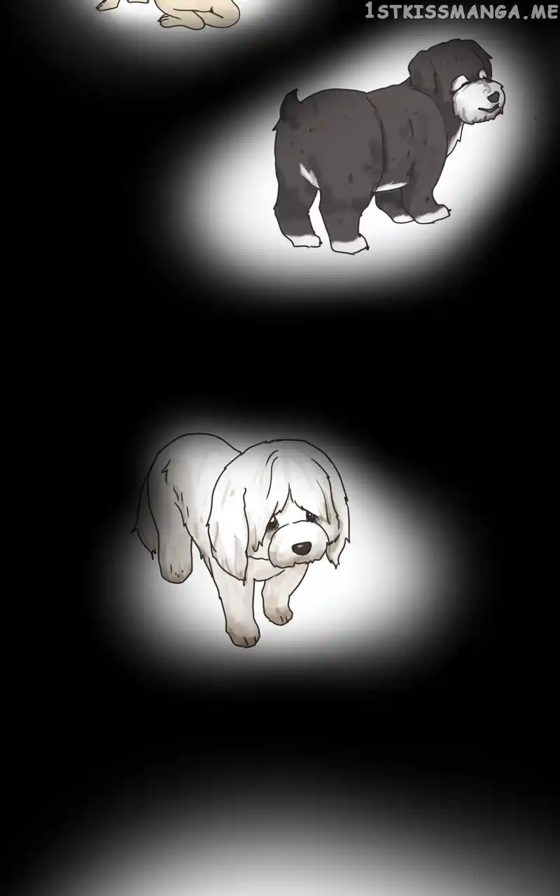 The Dog Diaries Chapter 105