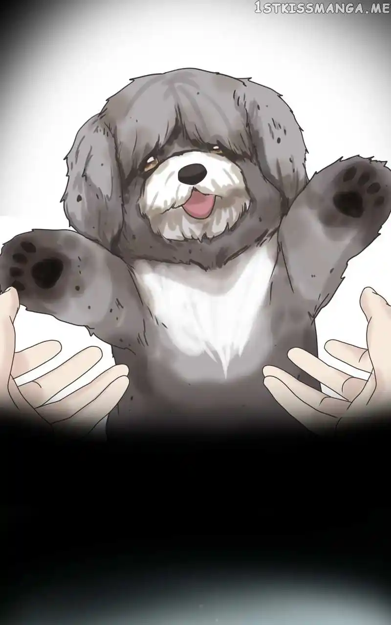 The Dog Diaries Chapter 105