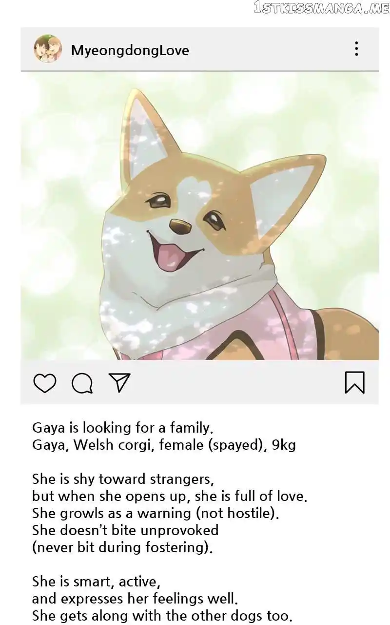 The Dog Diaries Chapter 106