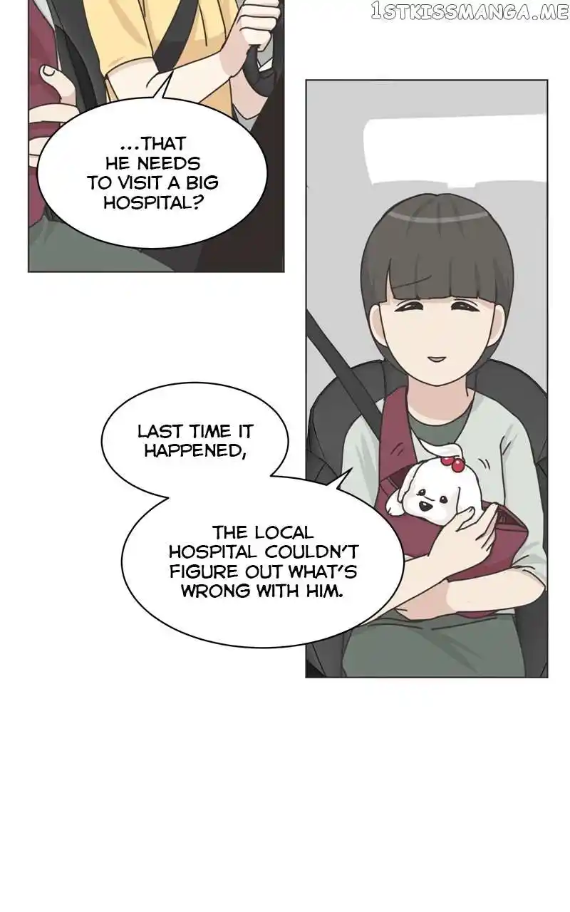 The Dog Diaries Chapter 106