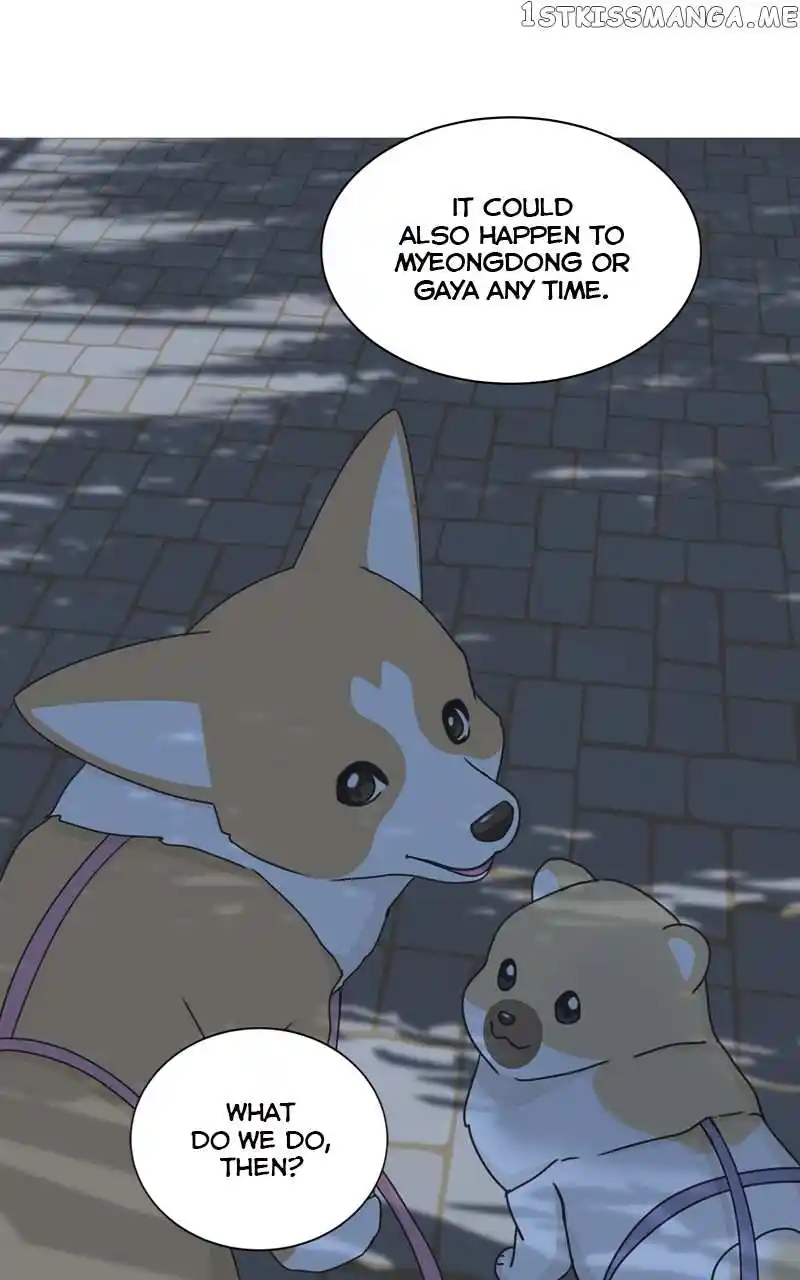 The Dog Diaries Chapter 107