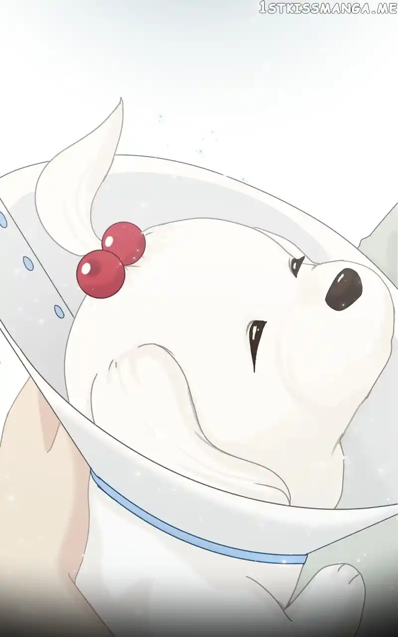 The Dog Diaries Chapter 108