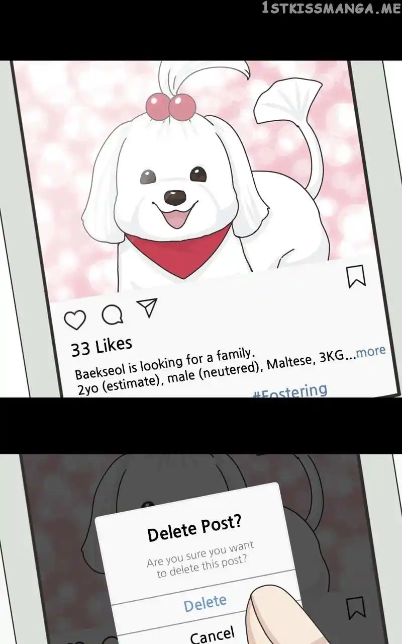 The Dog Diaries Chapter 108