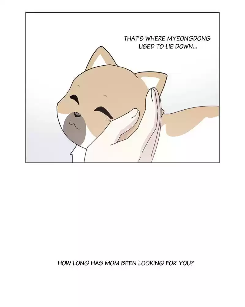 The Dog Diaries Chapter 11