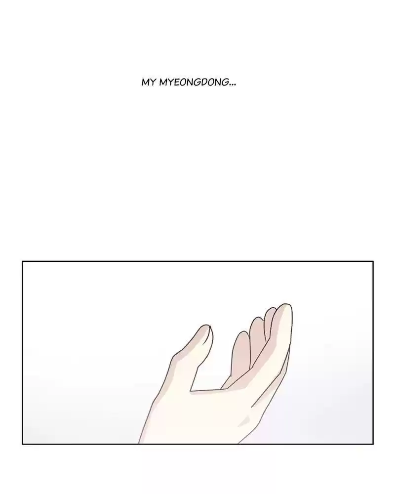 The Dog Diaries Chapter 11