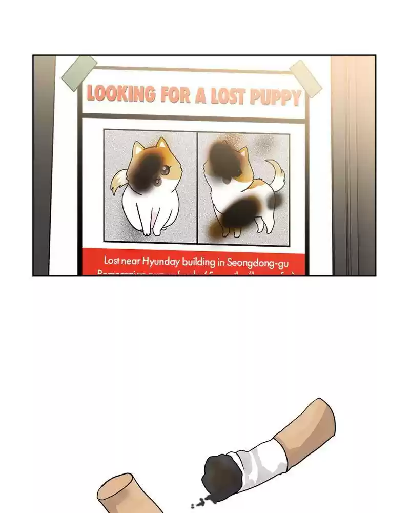 The Dog Diaries Chapter 11