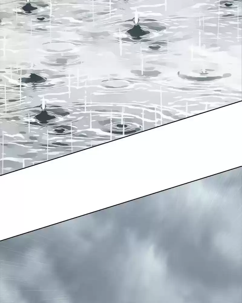 The Dog Diaries Chapter 11