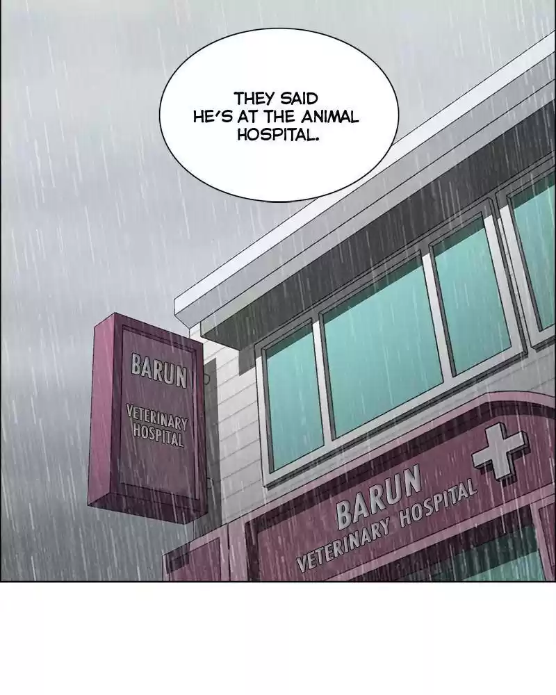 The Dog Diaries Chapter 11