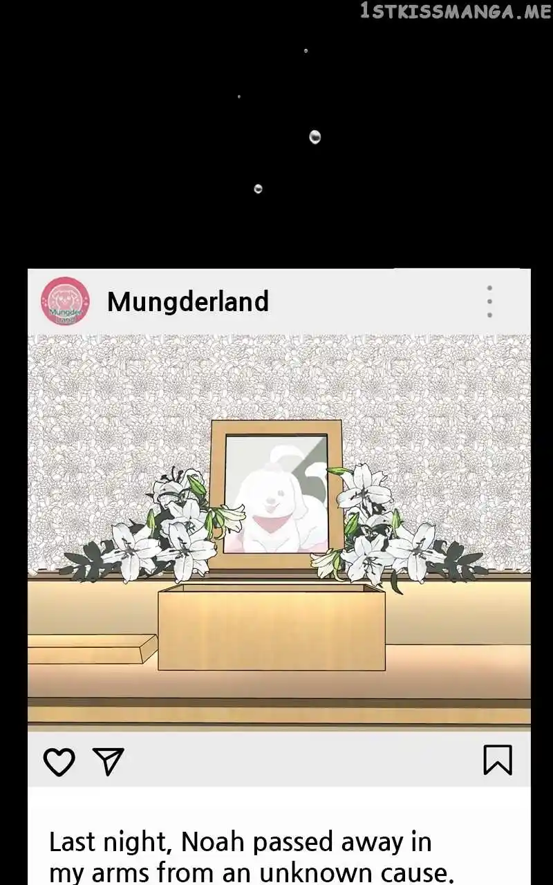 The Dog Diaries Chapter 110