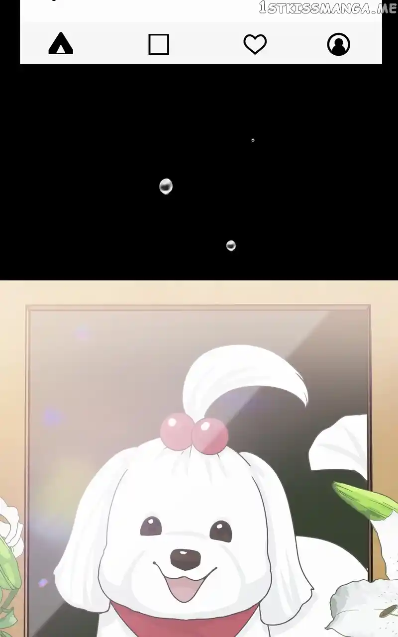 The Dog Diaries Chapter 110