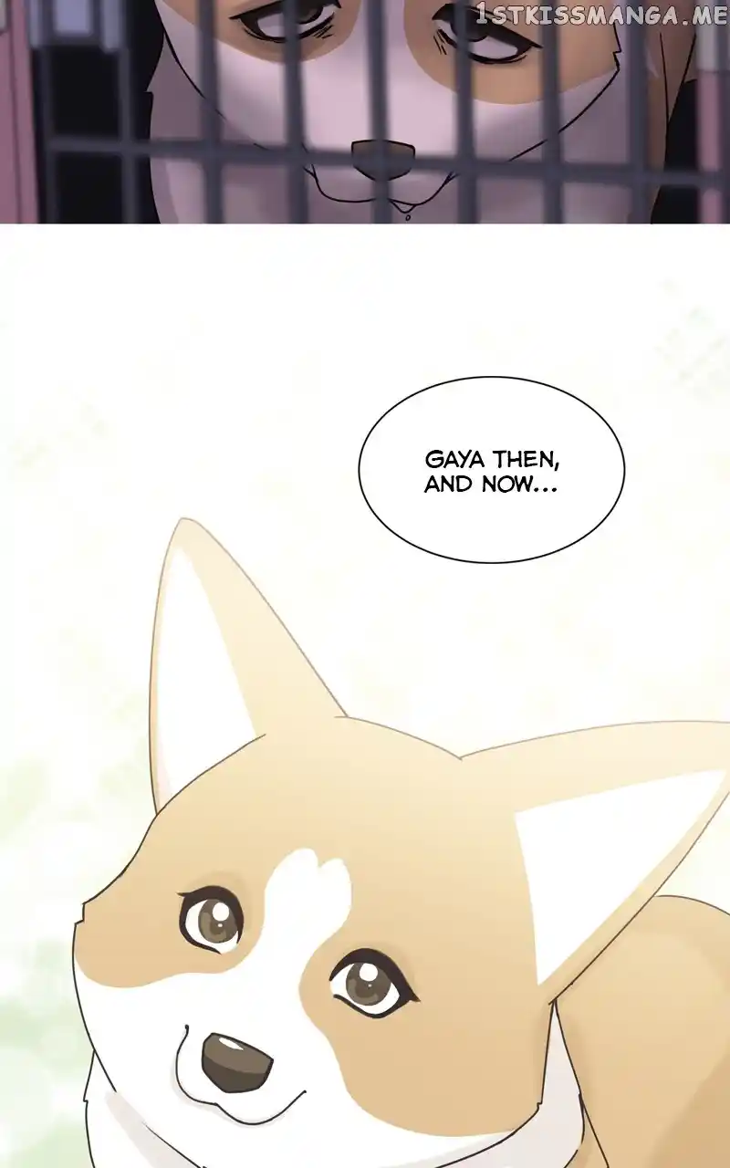 The Dog Diaries Chapter 113