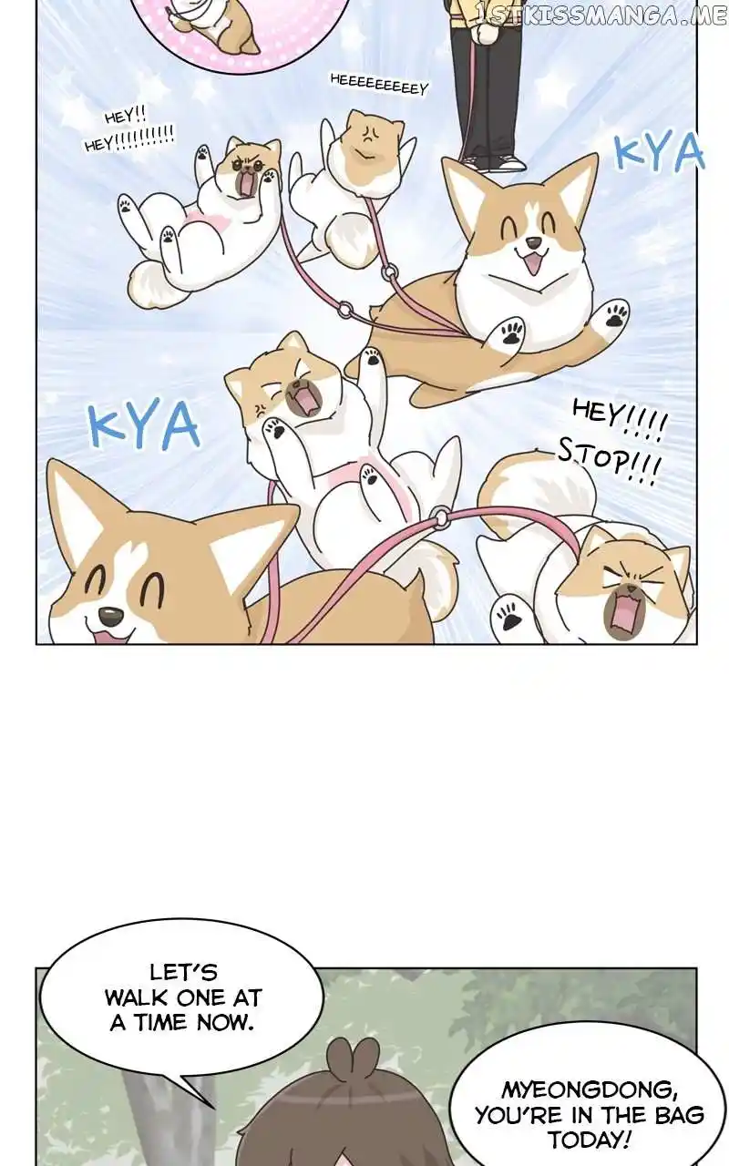 The Dog Diaries Chapter 114