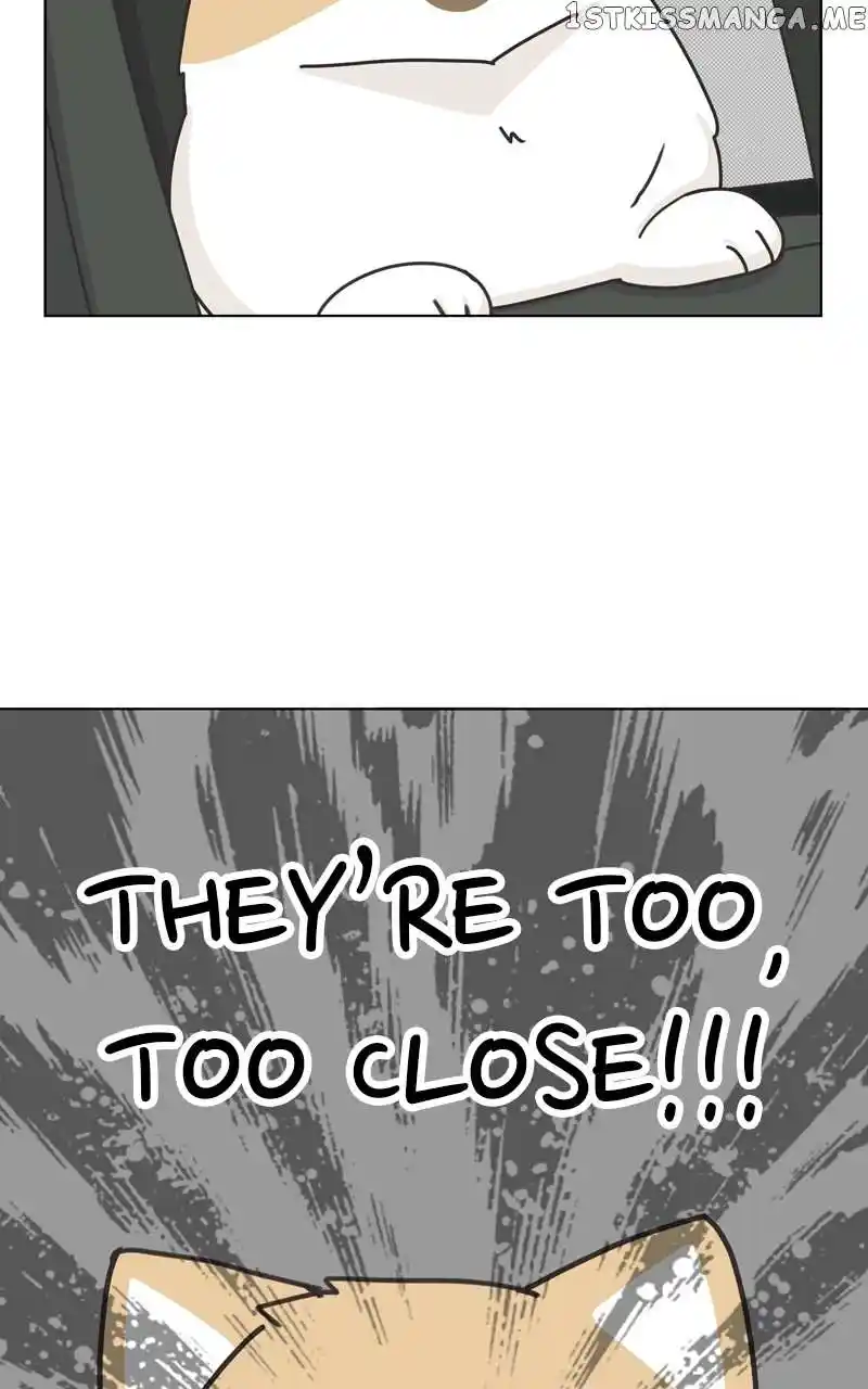 The Dog Diaries Chapter 114