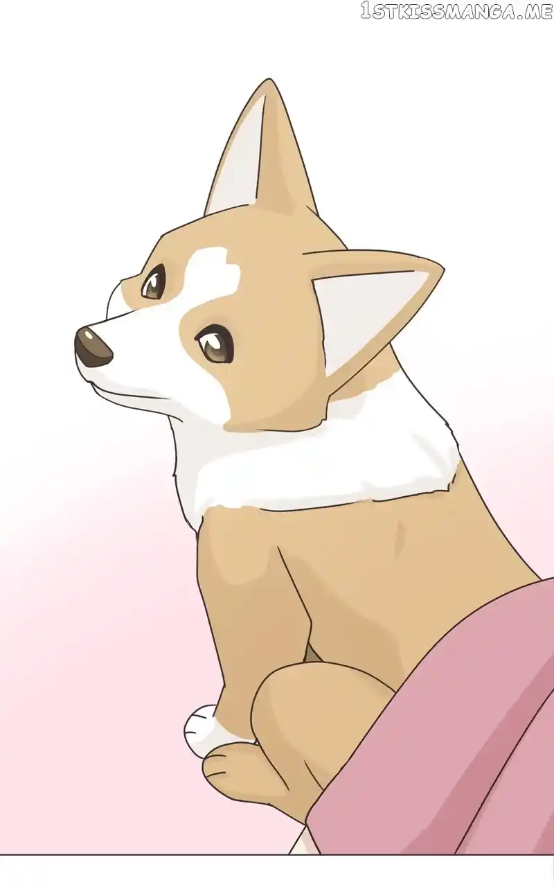 The Dog Diaries Chapter 114