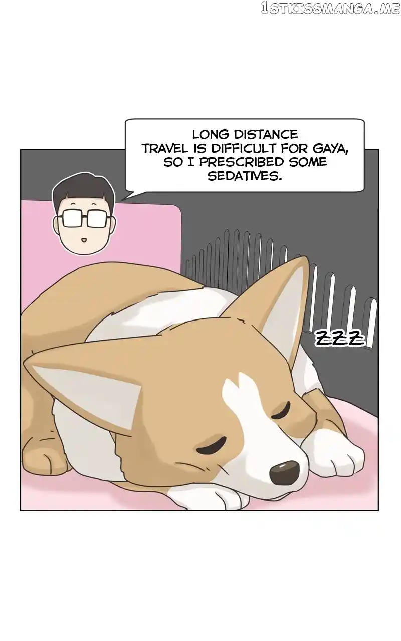 The Dog Diaries Chapter 114