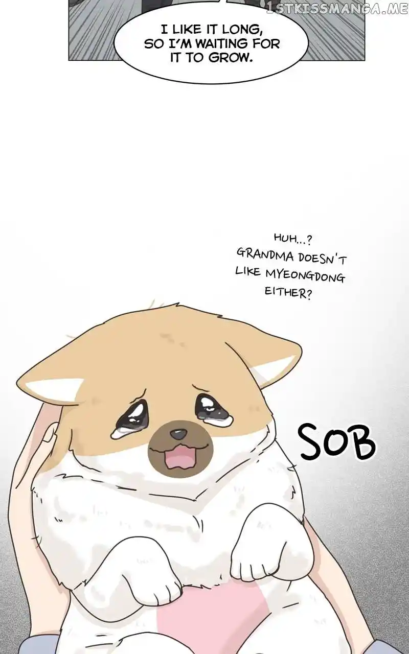 The Dog Diaries Chapter 114