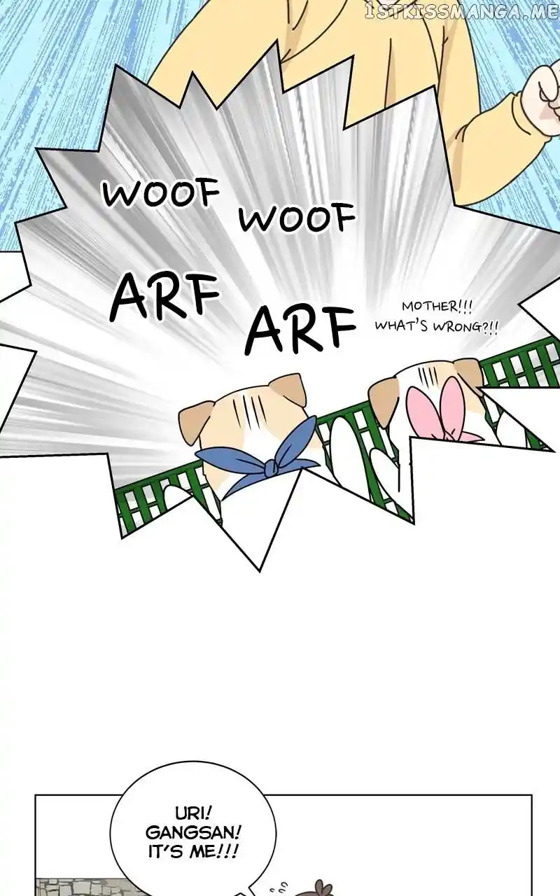The Dog Diaries Chapter 114