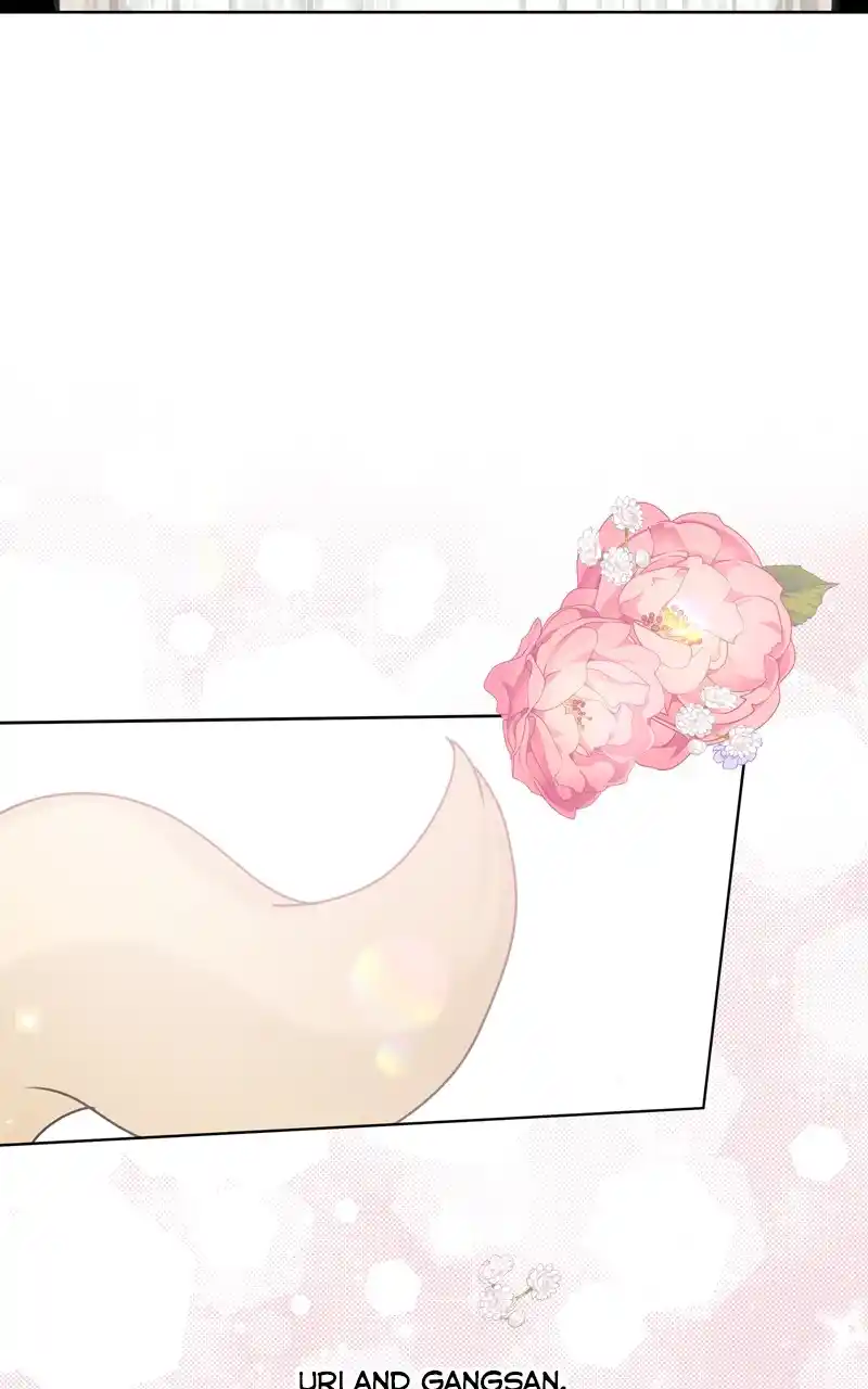 The Dog Diaries Chapter 115