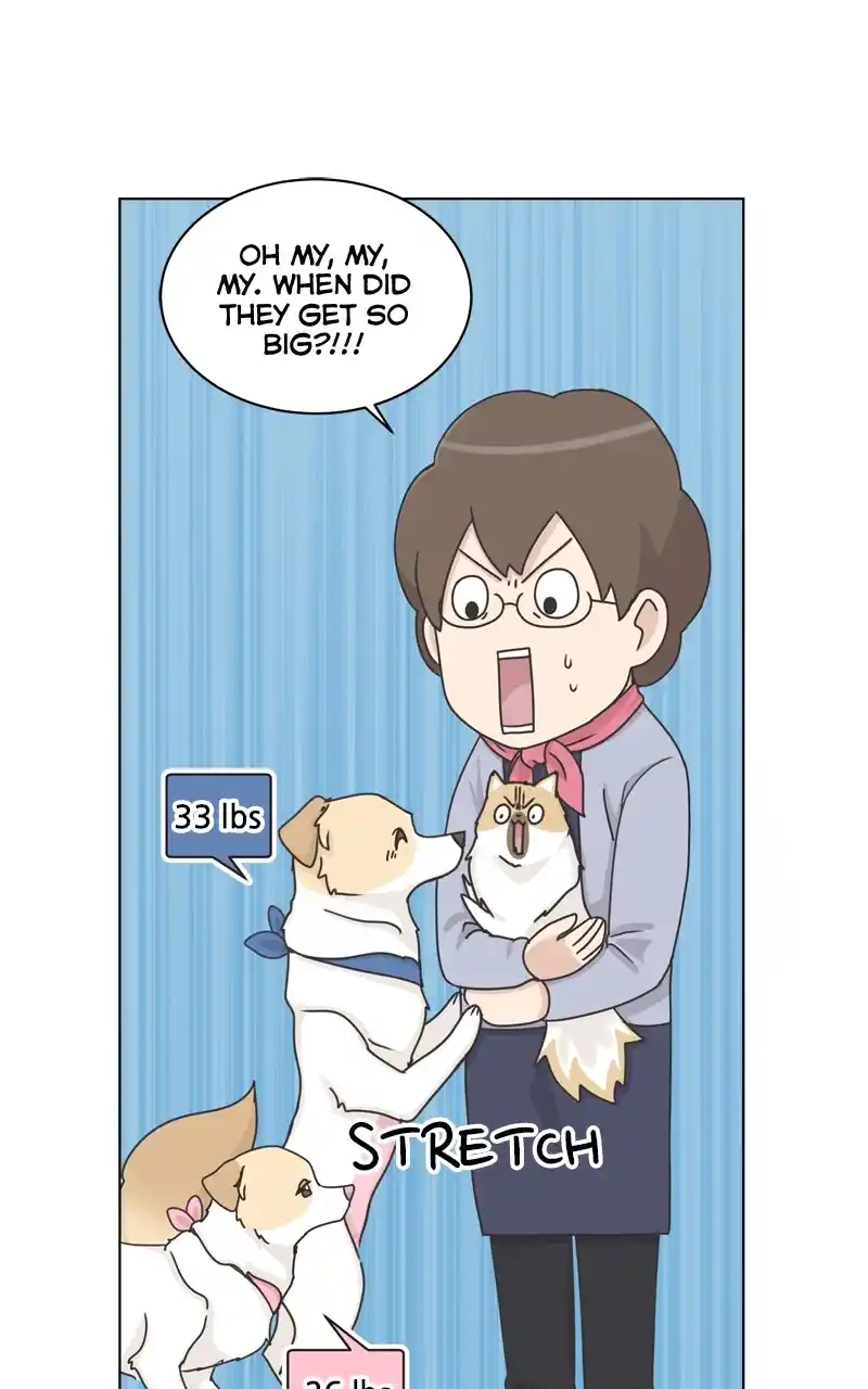 The Dog Diaries Chapter 115