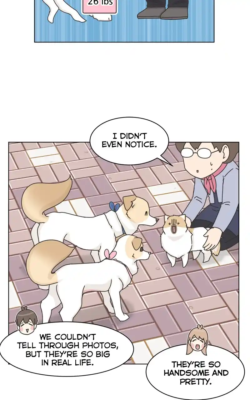 The Dog Diaries Chapter 115