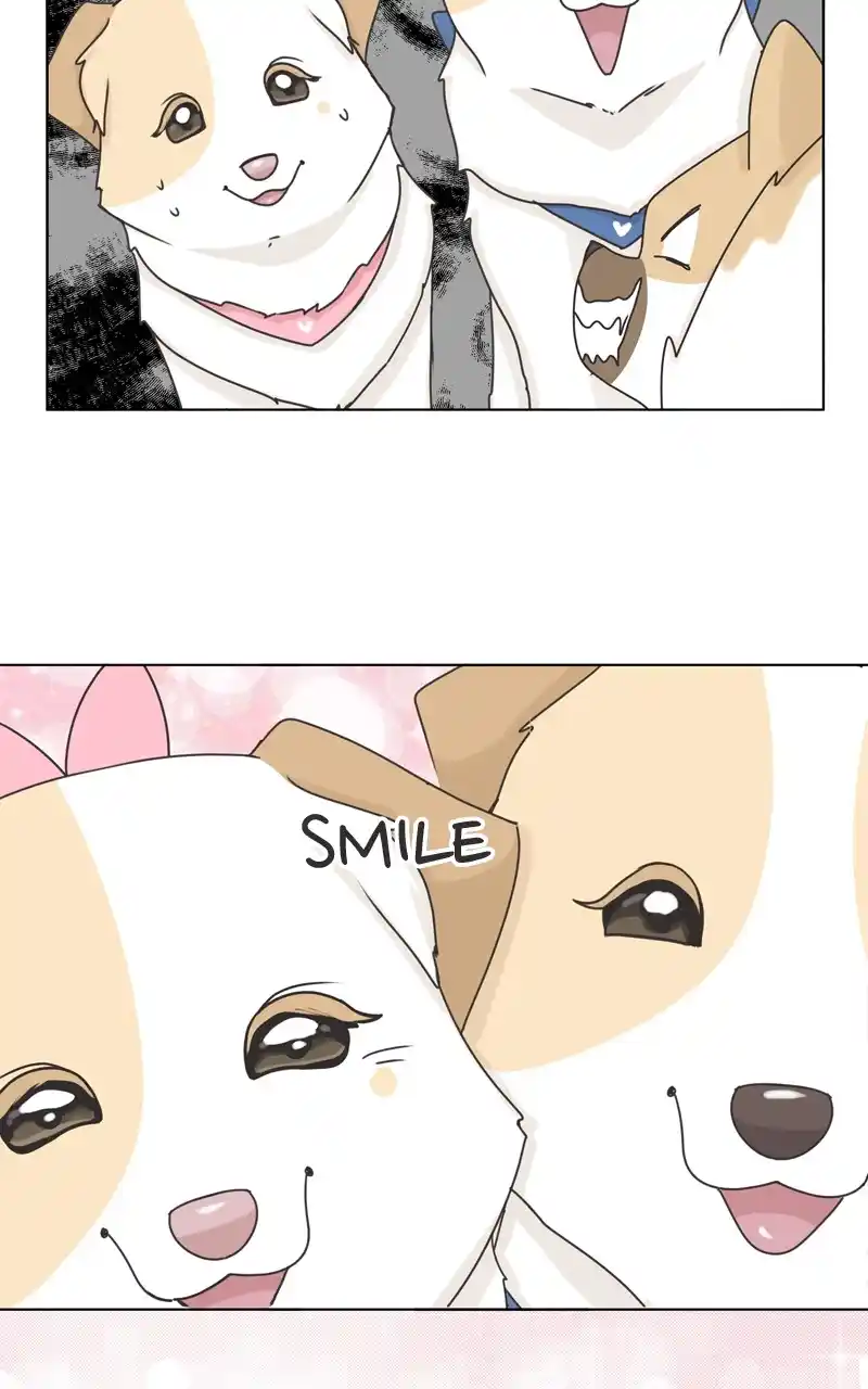 The Dog Diaries Chapter 115