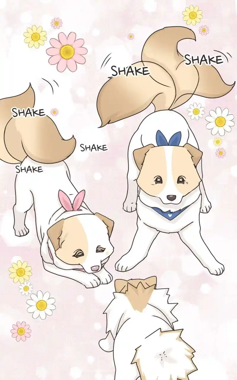 The Dog Diaries Chapter 115