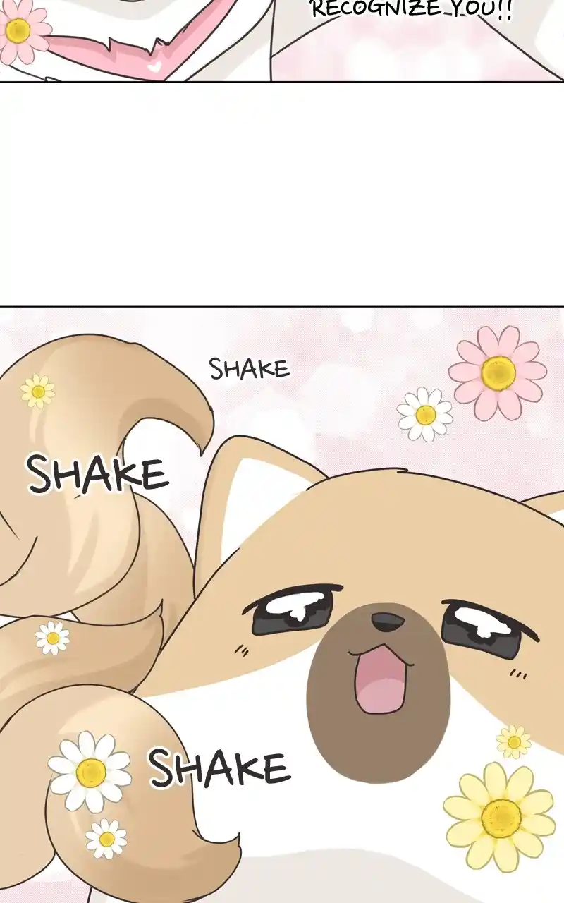 The Dog Diaries Chapter 115