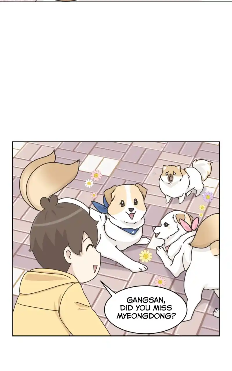 The Dog Diaries Chapter 115