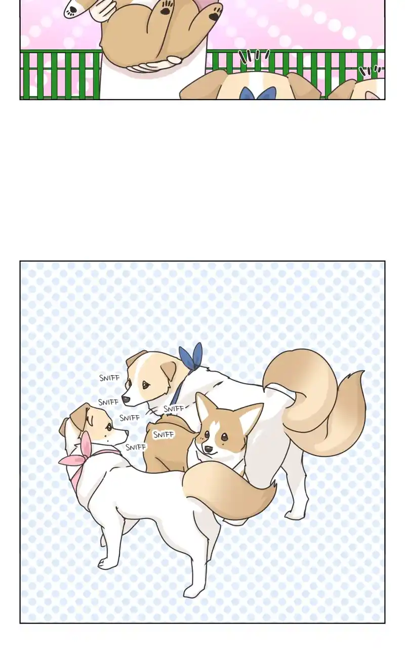 The Dog Diaries Chapter 115