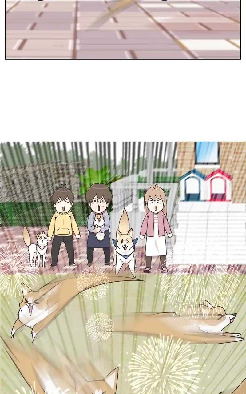 The Dog Diaries Chapter 115