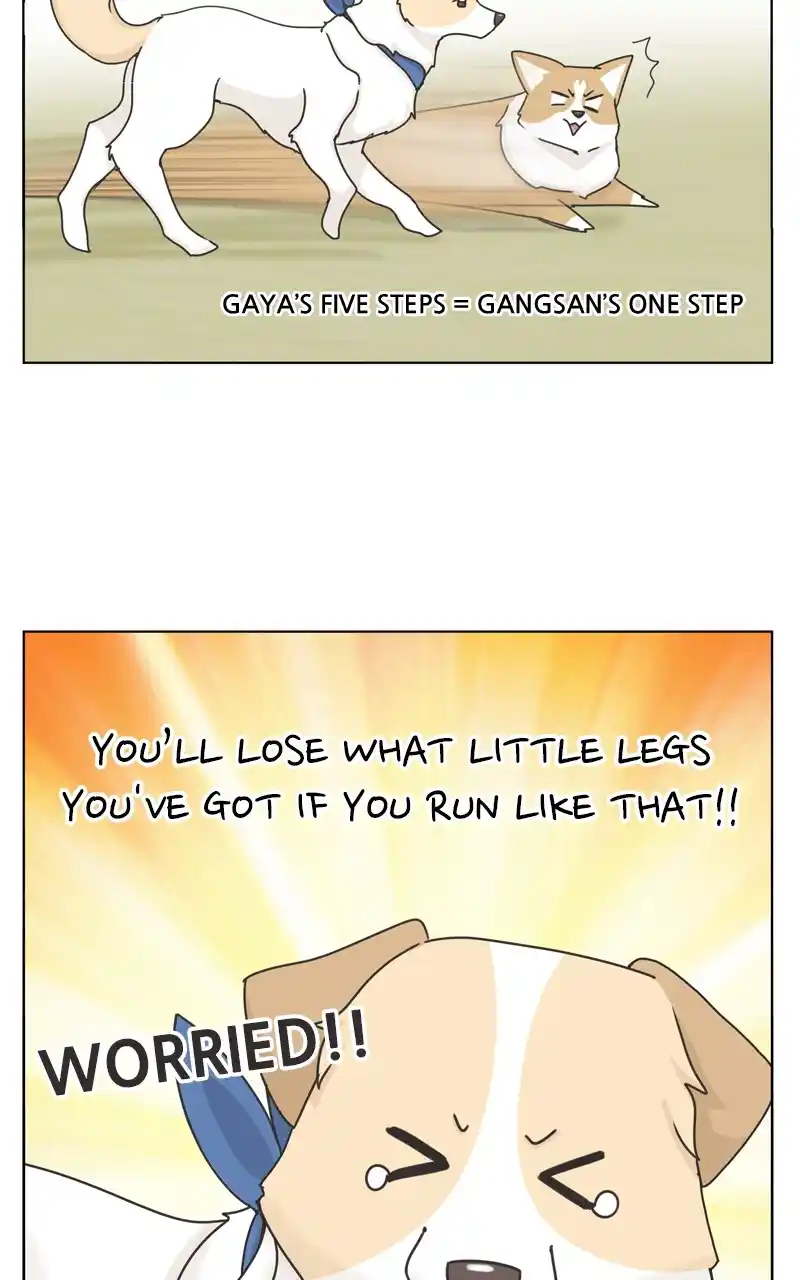 The Dog Diaries Chapter 115