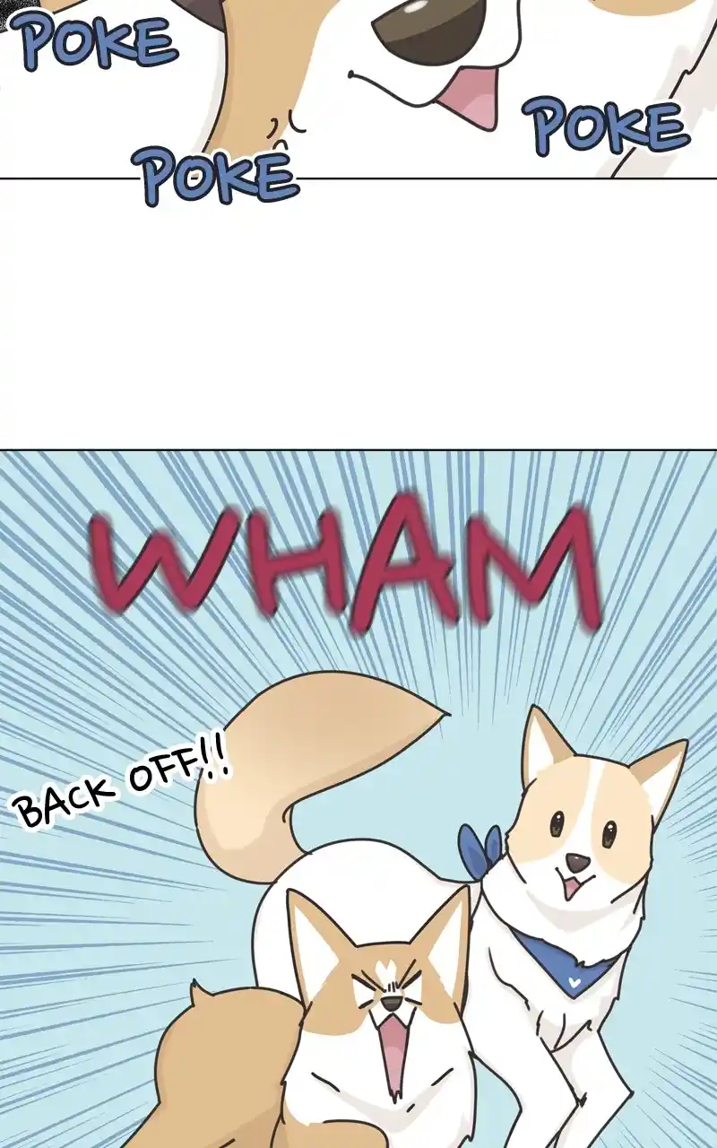 The Dog Diaries Chapter 115