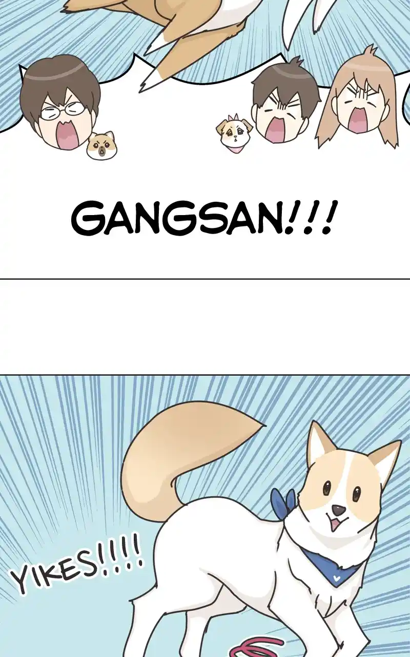 The Dog Diaries Chapter 115