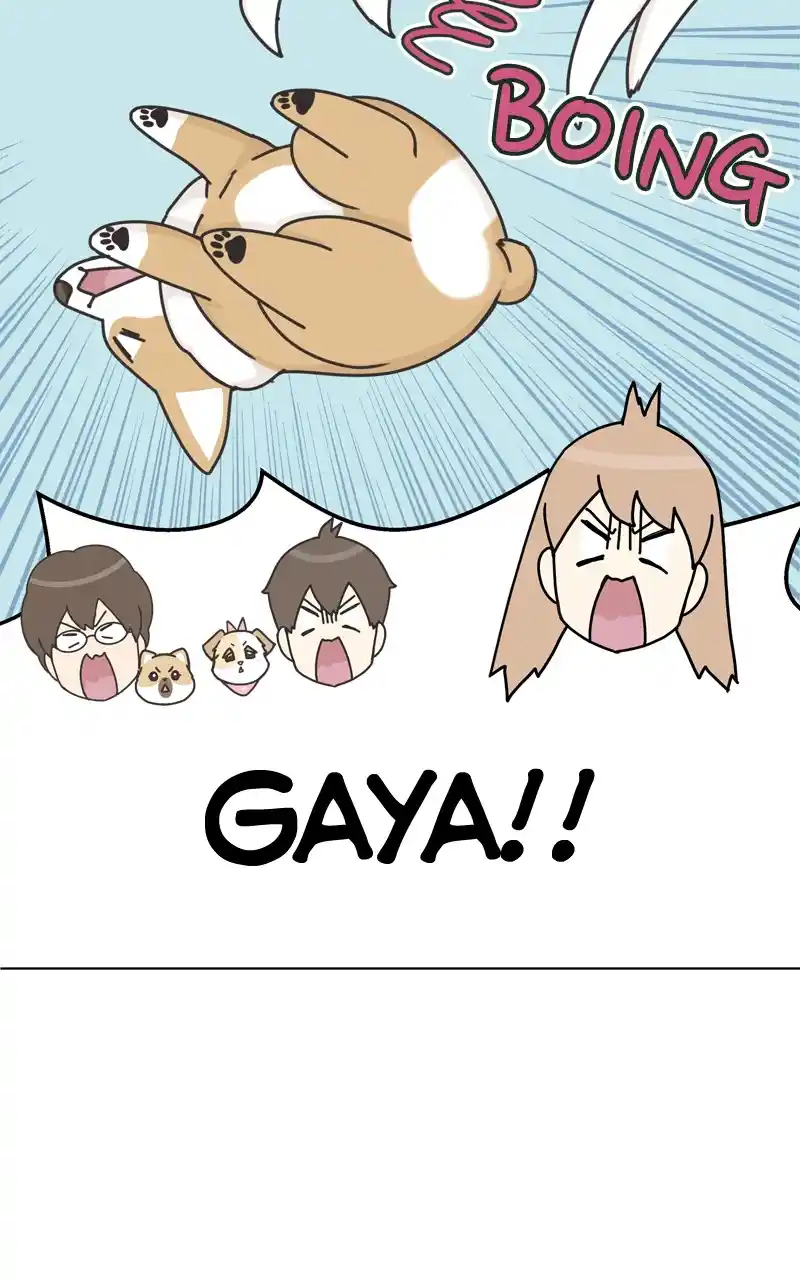 The Dog Diaries Chapter 115