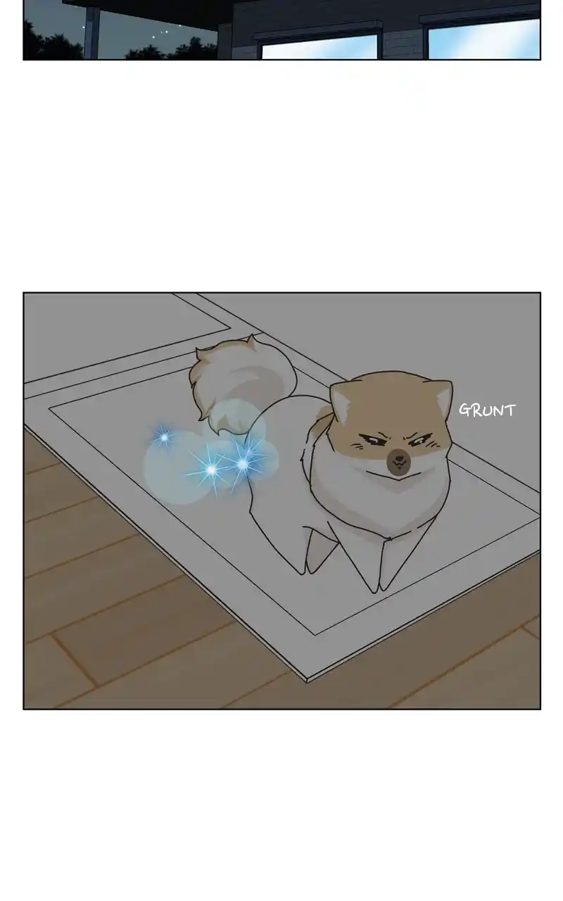 The Dog Diaries Chapter 115