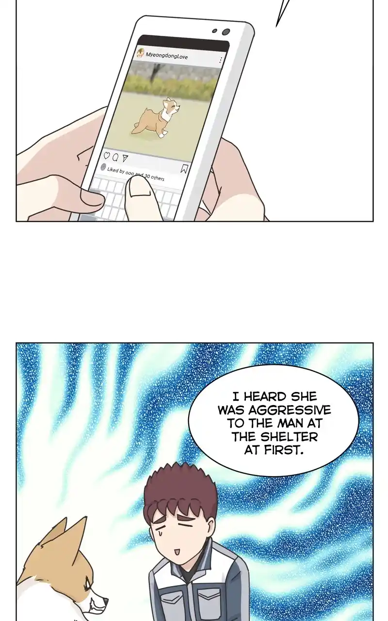 The Dog Diaries Chapter 115