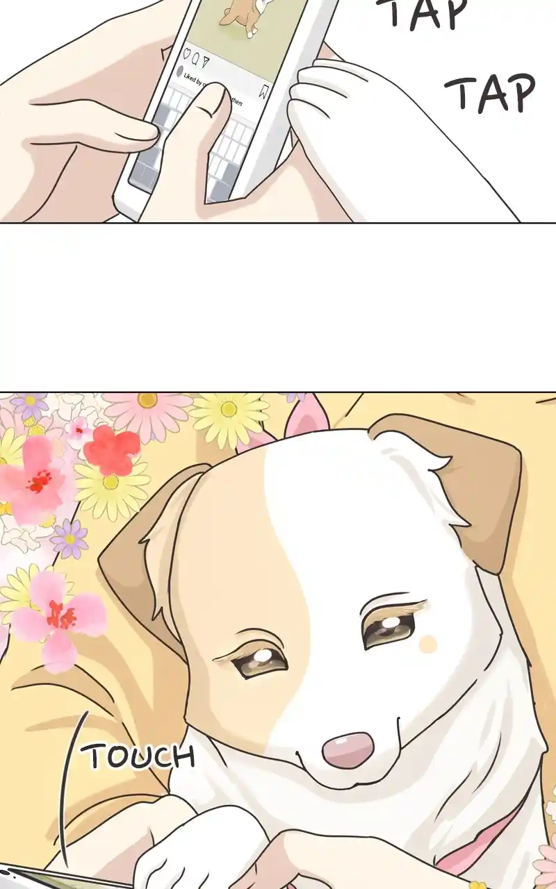 The Dog Diaries Chapter 115