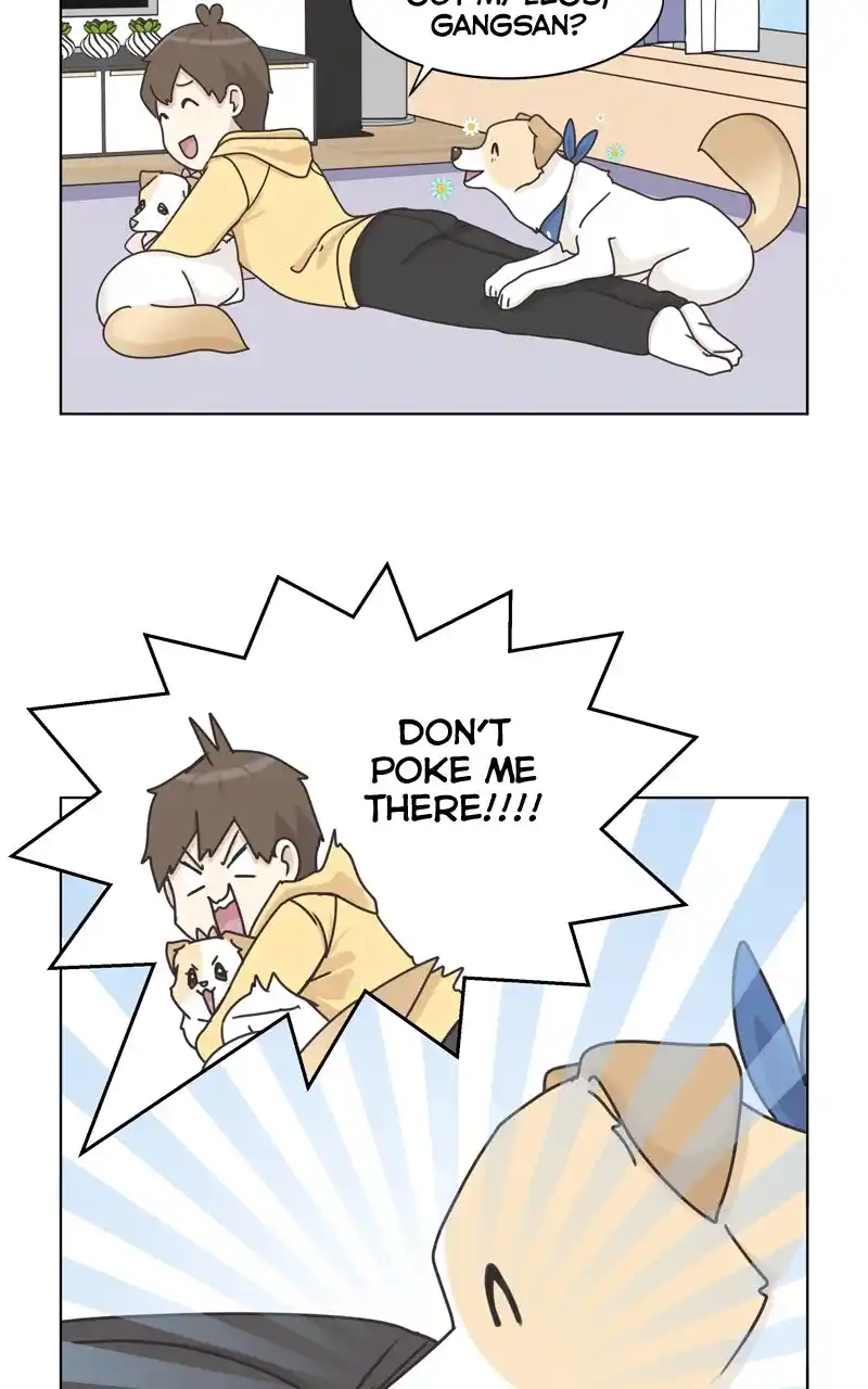 The Dog Diaries Chapter 116