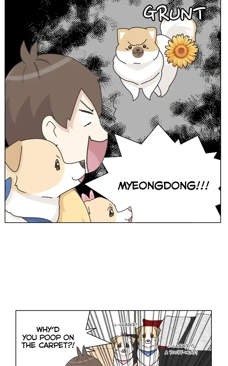 The Dog Diaries Chapter 116