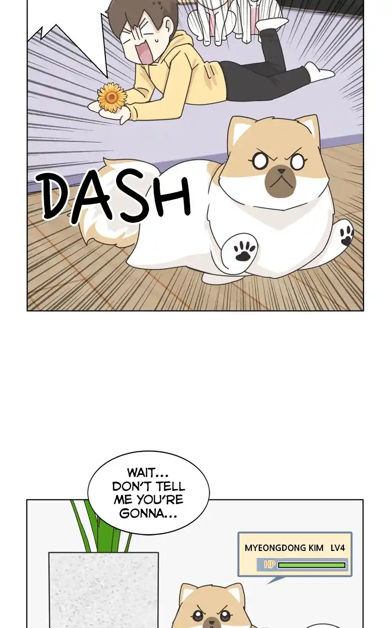 The Dog Diaries Chapter 116