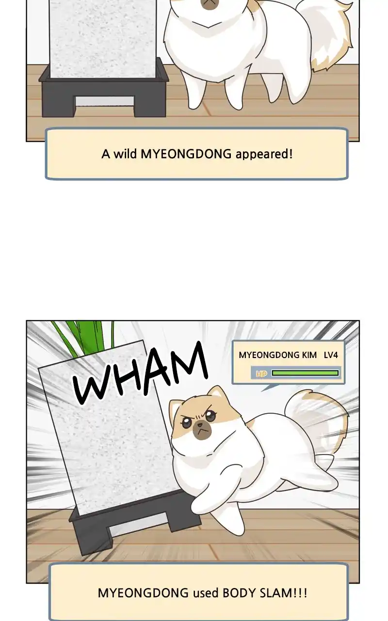 The Dog Diaries Chapter 116