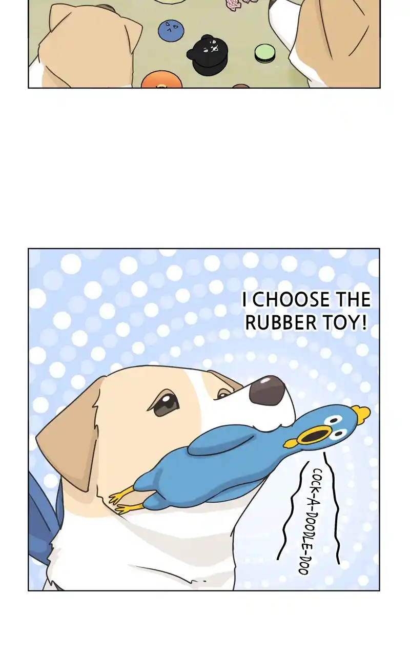 The Dog Diaries Chapter 116