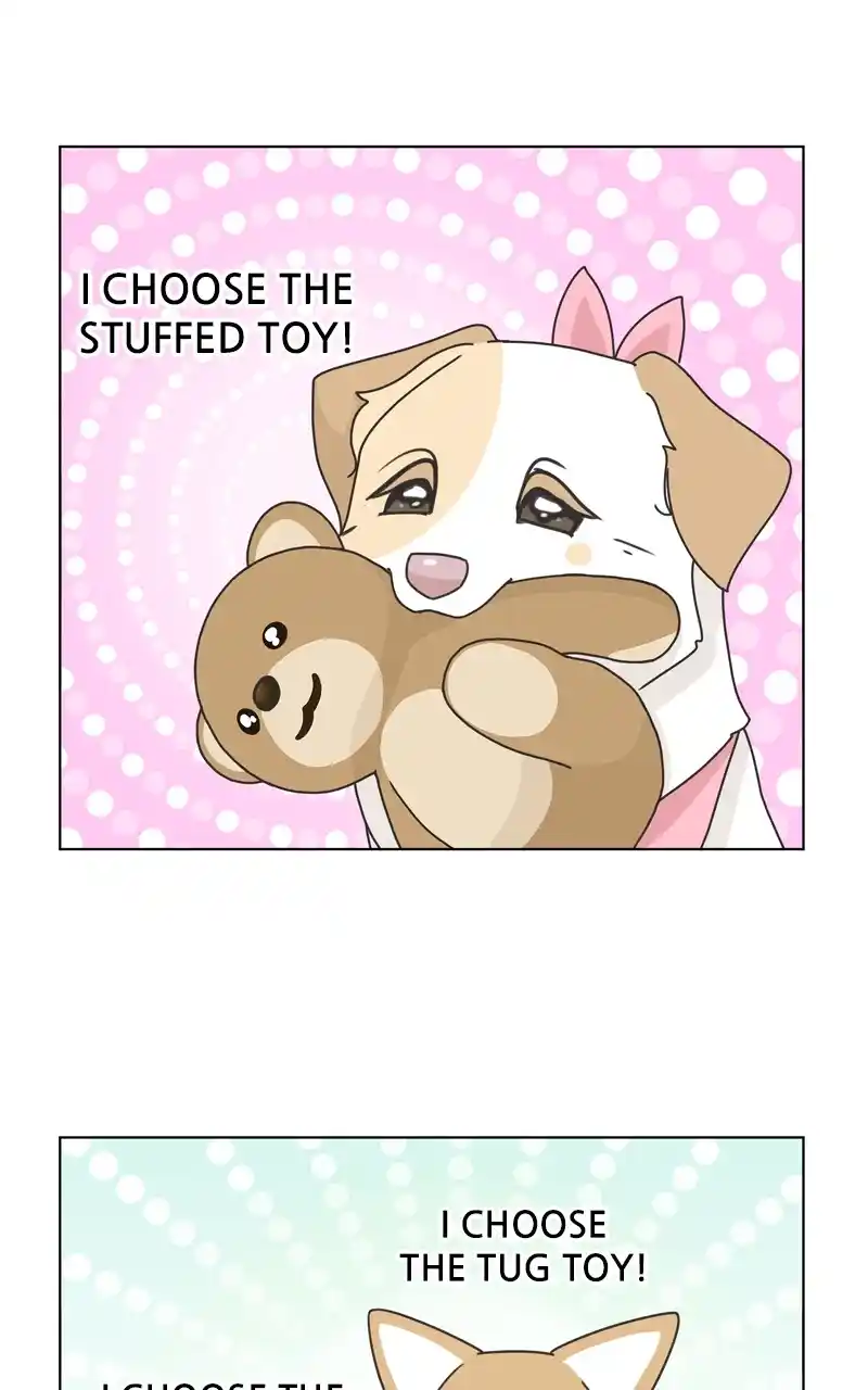 The Dog Diaries Chapter 116