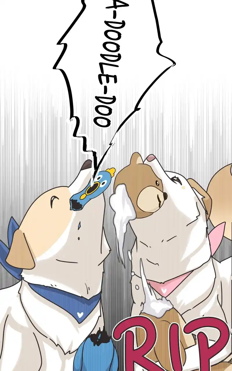 The Dog Diaries Chapter 116