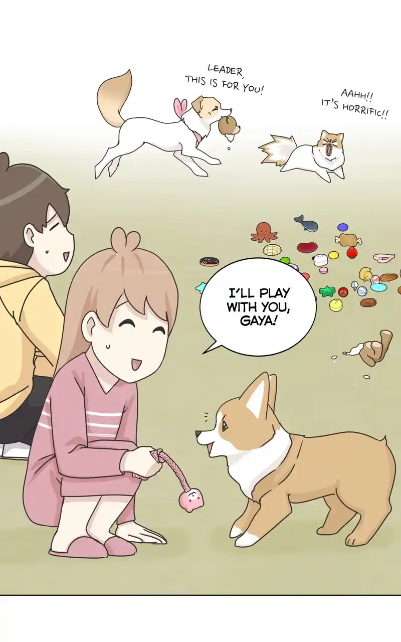 The Dog Diaries Chapter 116