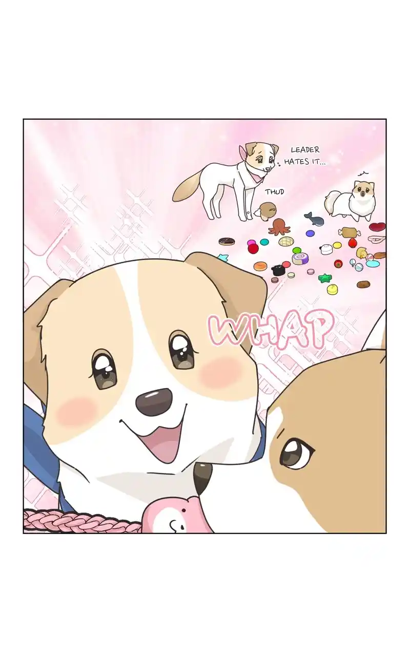 The Dog Diaries Chapter 116